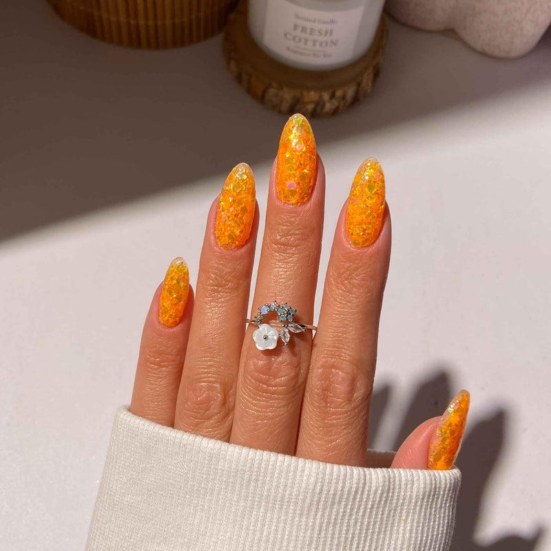 Sun Pop #(Bundle)