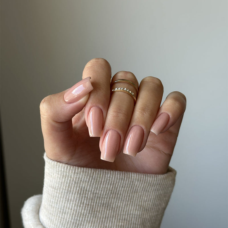 Velvet Rose